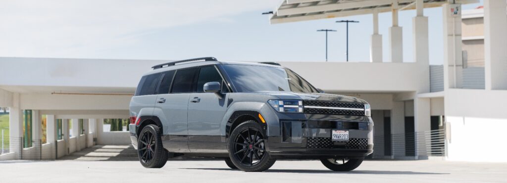 Hyundai Santa Fe w 211